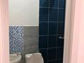 Жеке үй · 9 бөлме · 280 м² · 13 жүзд., Ыбыраим сулейманова 211 а, бағасы: 60 млн ₸ в Таразе — фото 18