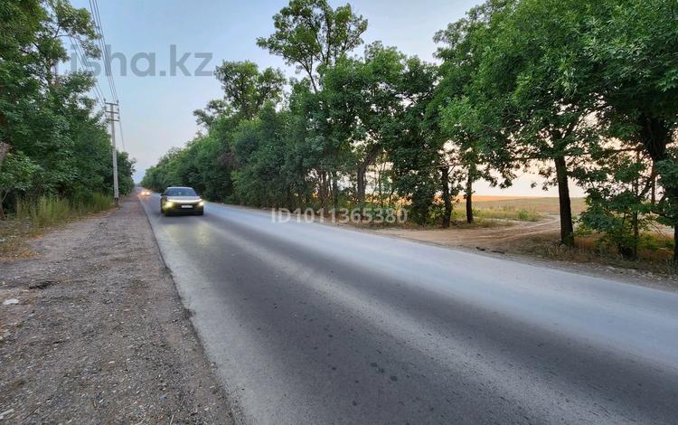Жер телімі · 12 сотық, Жалпаксай, бағасы: 18 млн 〒 — фото 2