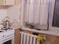 2-бөлмелі пәтер · 49 м² · 5/5 қабат, Алма Атинская — Амангельды, бағасы: 150 000 ₸ в Петропавловске