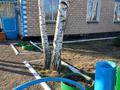 3-бөлмелі пәтер · 81 м², Гагарина 57/1, бағасы: 6 млн ₸ в Келлеровке — фото 11