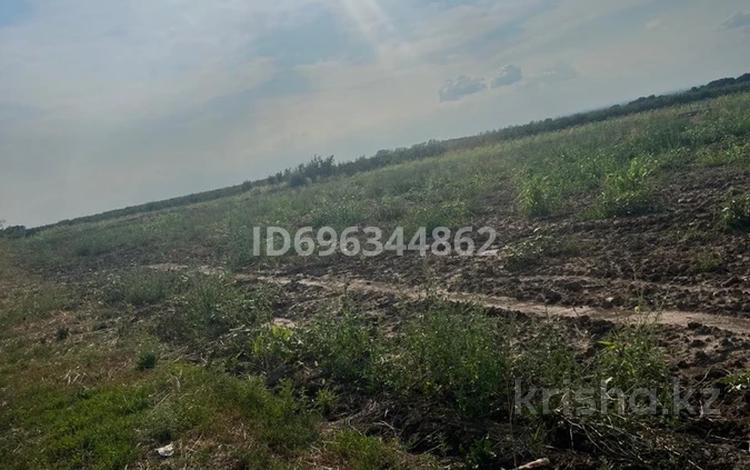 Участок · 10 га, Бак за 75 млн ₸ в Турген — фото 2