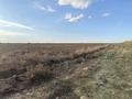Жер телімі · 10 га, мкр Акбулак, бағасы: 15 млн ₸ в Таразе — фото 7