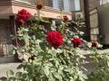 2-комнатная квартира · 55 м² · 7/16 этаж, Навои 37 за 380 000 ₸ в Алматы, Ауэзовский р-н — фото 28