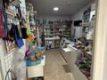 Свободное назначение · 28.5 м² за 16 млн ₸ в Астане, Сарыарка р-н — фото 4