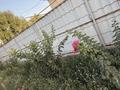 Отдельный дом · 4 комнаты · 200 м² · 8 сот., Кунаева 15 за 67 млн ₸ в Боралдае (Бурундай) — фото 24