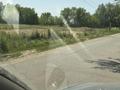 Участок · 15 соток, Береке 67 — Возле новый школы за 18 млн ₸ в Ельтае — фото 6