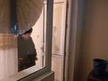 1-бөлмелі пәтер · 36 м², Назарбаева 285 — Мкр дачный, бағасы: 16 млн ₸ в Павлодаре — фото 3