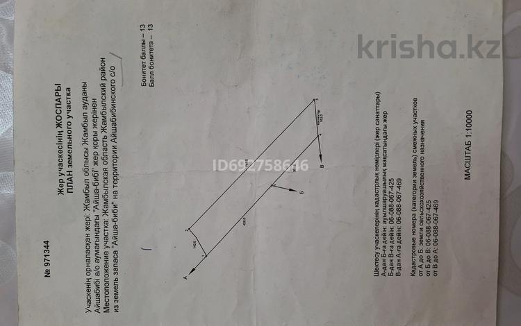 Участок · 10 га, Айшабибі Айшабибі — Қызылтаң за 8 млн 〒 в Айша-Биби — фото 2