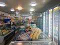 Магазины и бутики · 224 м² за 325 млн ₸ в Алматы, Жетысуский р-н — фото 6