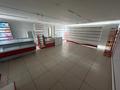 Участок · 12 соток, Павлова 109 за 29.5 млн ₸ в Затобольске (Тобыле) — фото 4