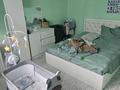 Отдельный дом · 3 комнаты · 58 м² · 10 сот., мкр Алтын Орда, К-22 340 — Поликлиника Абдуалиева за 16 млн ₸ в Шымкенте, Каратауский р-н