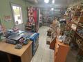 Отдельный дом · 6 комнат · 200 м² · 12 сот., мкр Игилик за 50 млн ₸ в Шымкенте, Абайский р-н — фото 24