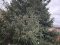 Жеке үй · 4 бөлме · 162.6 м² · 6 жүзд., Жансугурова, бағасы: 57 млн ₸ в  — фото 12