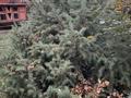 Жеке үй · 4 бөлме · 162.6 м² · 6 жүзд., Жансугурова, бағасы: 57 млн ₸ в  — фото 2
