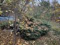 Жеке үй · 4 бөлме · 162.6 м² · 6 жүзд., Жансугурова, бағасы: 57 млн ₸ в  — фото 5