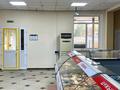 Свободное назначение, магазины и бутики • 600 м² за 215 млн 〒 в Щучинске — фото 12
