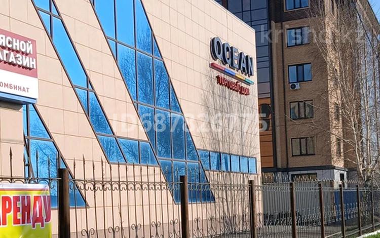 Еркін, дүкендер мен бутиктер · 600 м², бағасы: 290 млн ₸ в Щучинске — фото 45