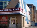 Еркін, дүкендер мен бутиктер · 600 м², бағасы: 290 млн ₸ в Щучинске — фото 4