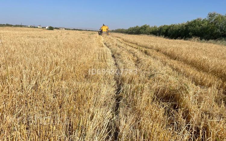 Участок · 17 га, Аджикабул за 50 млн 〒 в Баку — фото 2