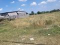 Участок · 8 соток, Іргелы 78/33 — Тәшкенскй бакат қйлсы за 20 млн ₸ в Иргели — фото 3
