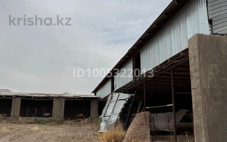 Дача · 3 комнаты · 250 м² · 25 сот., Касымбек Датка за 24 млн 〒 в Шымкенте — фото 2