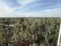 3-бөлмелі пәтер · 77.4 м² · 10/12 қабат, Просп. Сакена Сейфуллина, бағасы: 77 млн ₸ в Алматы, Алмалинский р-н — фото 12