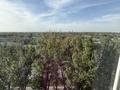 3-бөлмелі пәтер · 77.4 м² · 10/12 қабат, Просп. Сакена Сейфуллина, бағасы: 77 млн ₸ в Алматы, Алмалинский р-н — фото 25