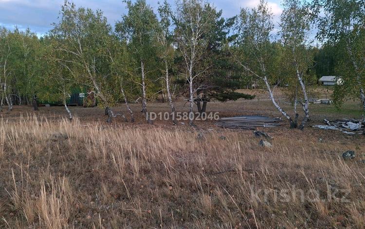 Участок · 3 га, Жукей за 200 млн ₸ — фото 2