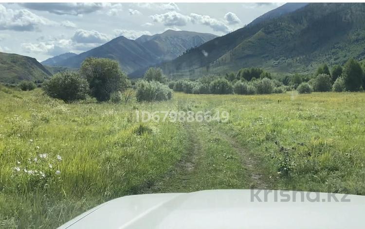 Участок · 590 га, Курчум за 30 млн ₸ — фото 2