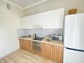 1-комнатная квартира · 45 м² · 14/14 этаж, Манаса 109а за 25 000 ₸ в Алматы, Алмалинский р-н — фото 10