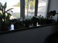 Отдельный дом · 4 комнаты · 110 м² · 14 сот., Шымкент Плаза , ул Ирек 23 — Джангильдина -Шымкент Плаза, улица Конаева за 82 млн ₸ в Аль-Фарабийский р-н — фото 33
