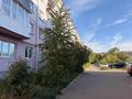 2-комнатная квартира · 42.7 м² · 1/5 этаж, Назарбаева 33 за 15 млн ₸ в Усть-Каменогорске — фото 19
