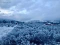 Жеке үй · 5 бөлме · 300 м² · 10 жүзд., Шымбулак, бағасы: 130 млн ₸ в Каскелене — фото 6