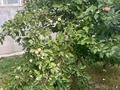 Жеке үй · 6 бөлме · 180 м² · 14.6 жүзд., улица Момышулы 7/1, бағасы: 58 млн ₸ в  — фото 20