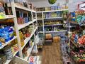 Магазины и бутики • 60 м² за 2.5 млн 〒 в Астане, Нура р-н — фото 12