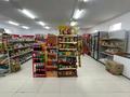 Магазины и бутики · 120 м² за 38 млн ₸ в Баскудуке — фото 5