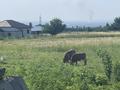 Участок · 26 соток, мкр Алатау (ИЯФ) за 16 млн ₸ в Алматы, Медеуский р-н — фото 5