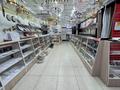 Магазины и бутики · 360 м² за 150 млн ₸ в Жезказгане — фото 10