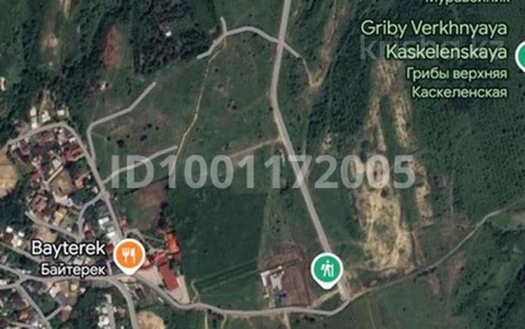 Участок · 2 га, Жамбыл (Жамбылский район) за 850 млн ₸ — фото 2