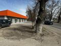 Еркін, кеңселер, дүкендер мен бутиктер, жқб, автосервистер мен көлік жуу, қоғамдық тамақтану орны, сұлулық салондары, медорталықтар мен дәріханалар, білім орталықтары, ойын-сауық · 300 м², бағасы: 125 млн ₸ в Байкент — фото 7