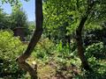 Отдельный дом · 3 комнаты · 74 м² · 6 сот., мкр Нурлытау (Энергетик), Вишневая 3 за 81 млн 〒 в Алматы, Бостандыкский р-н — фото 4