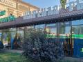 Магазины и бутики · 200 м² за 1.6 млн ₸ в Алматы, Ауэзовский р-н — фото 2