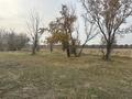 Участок · 2.56 га, Алжан за 26 млн 〒 в Шамалгане — фото 10