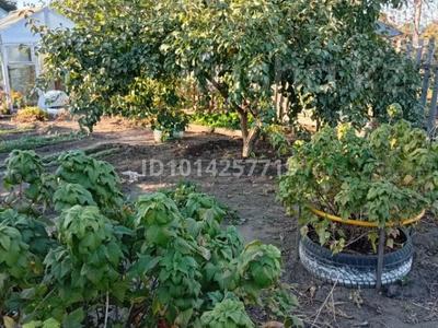 Саяжай · 1 бөлме · 15 м² · 8 жүзд., СО "Текстильщик 1" 193, бағасы: 5.5 млн ₸ в Костанае