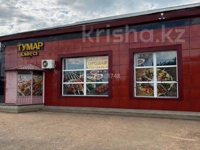 Общепит · 137 м² за 18 млн ₸ в Саумалколе