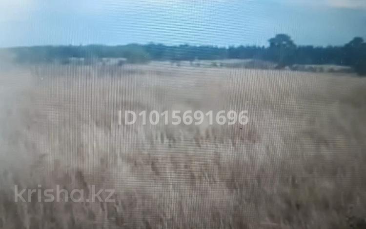 Участок · 0.08 га, 4-я звездная 5/26 за 5 млн ₸ в Бурабае — фото 10