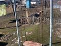 Отдельный дом · 3 комнаты · 80 м² · 9.5 сот., Абая 178 — Талкыбаева за 21.5 млн ₸ в Талдыкоргане — фото 19