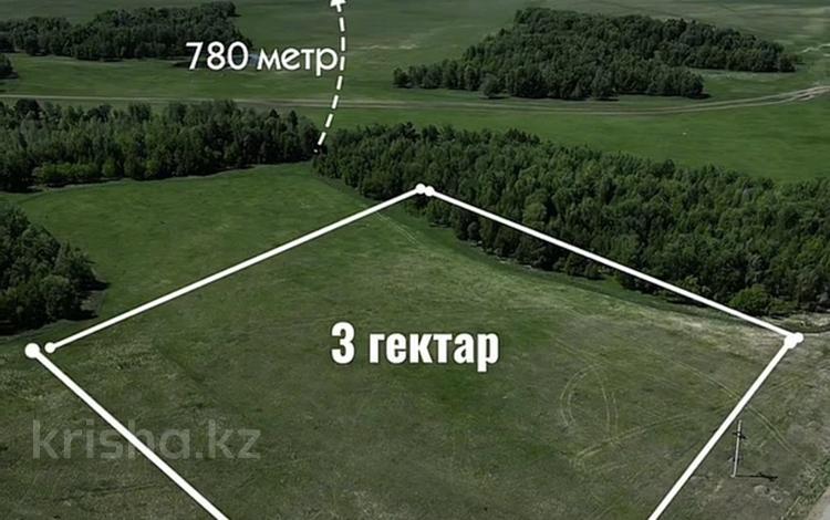 Жер телімі · 6 га, 1 1, бағасы: 60 млн ₸ в  — фото 3