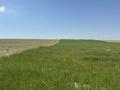 Участок · 2.3 га, ЖМ Мартобе за 15 млн ₸ в Шымкенте, Каратауский р-н — фото 2