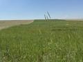 Участок · 2.3 га, ЖМ Мартобе за 15 млн ₸ в Шымкенте, Каратауский р-н — фото 6